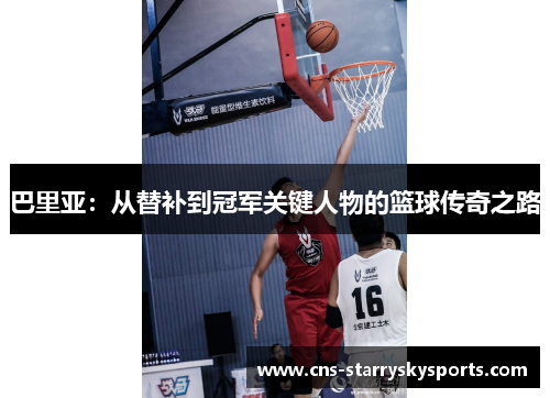 巴里亚：从替补到冠军关键人物的篮球传奇之路